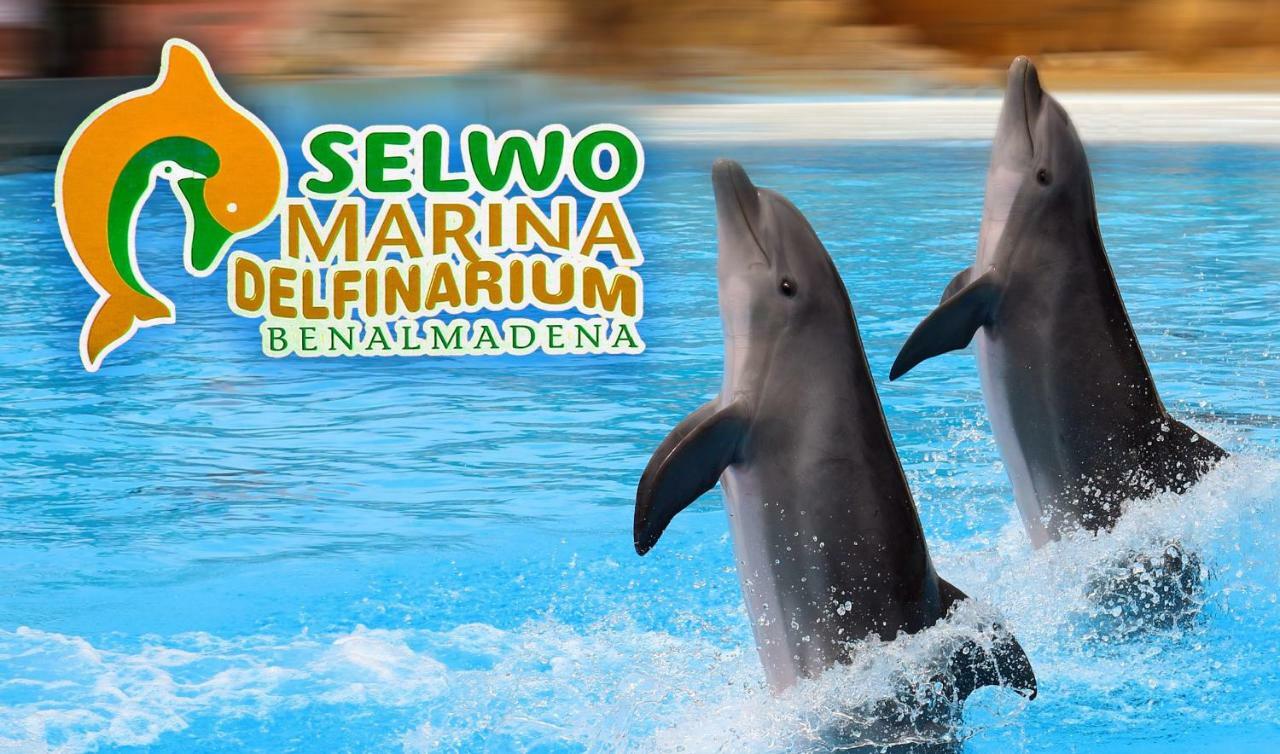 Acuario